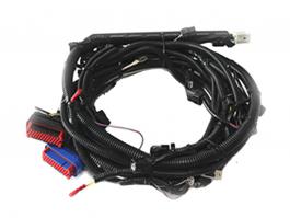 線束加工 AMP 2P防水連接器電纜組件